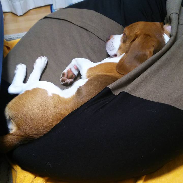 Cc9f37ba e711 4b4b 997a 436ed67b7814 1599131771689