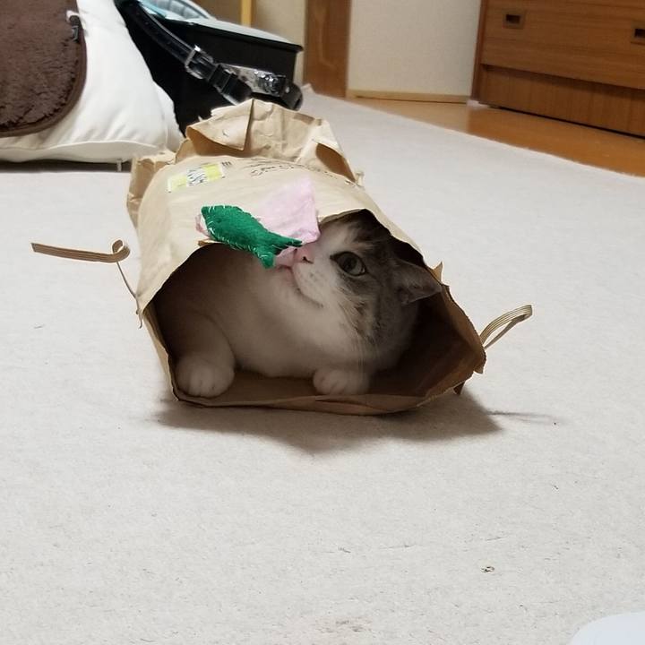 Cc9f3b7c 9263 4977 9e19 39c09afa5b91 1594124669181