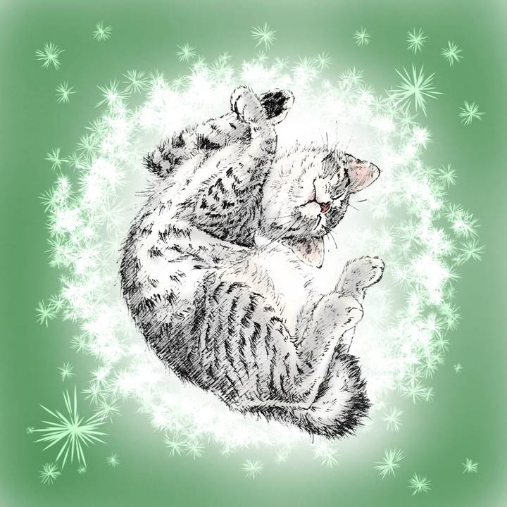 Cc9f88a7 96d2 4e33 a148 15b2e9661b8b 1606658770037