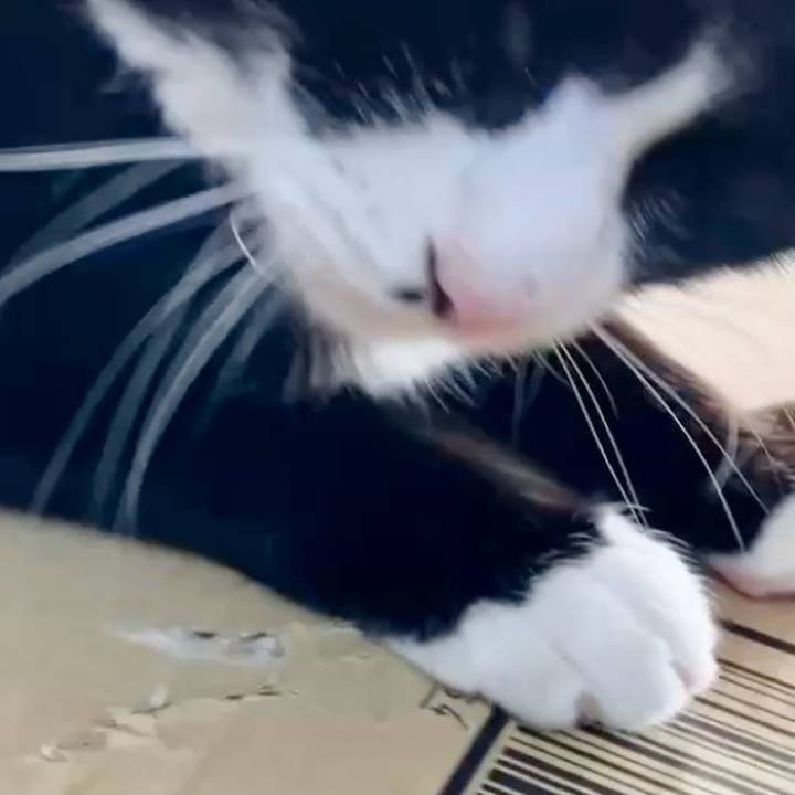 Cc9fbfa7 ad78 4dc3 8f98 6468d282b169 1734061449205