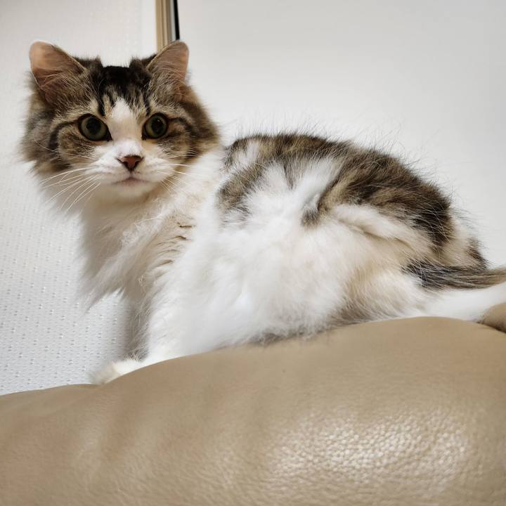 Cc9fd1a4 8e23 4175 8c2f fbd88960b972 1700469246718