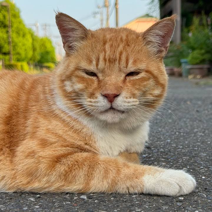 Cc9ff28e 1036 4794 90ec 72113395c4c7 1754431370703