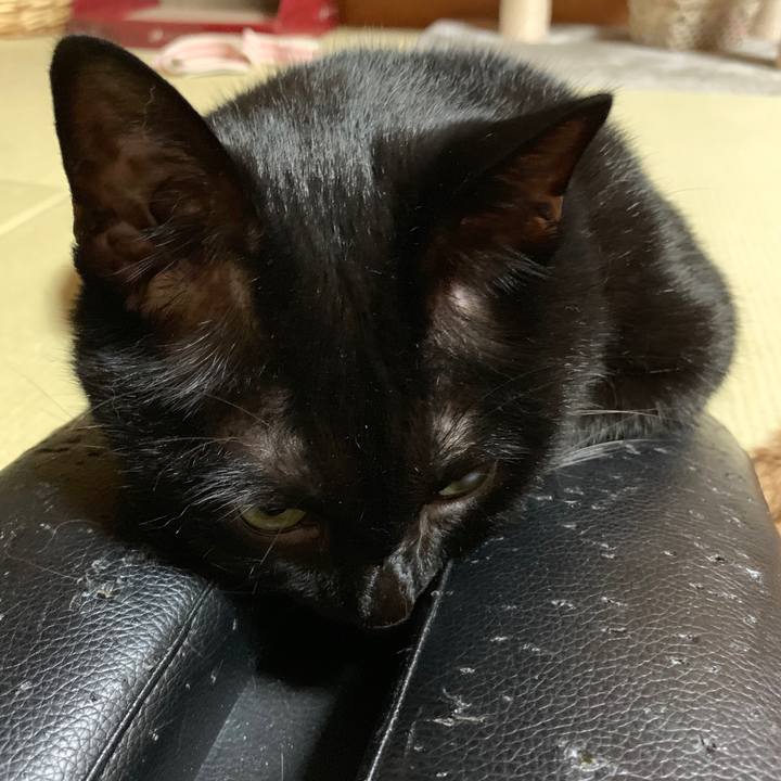 Cc9ff9d5 05d1 4494 977e 7bd9b1dfb292 1562679430746