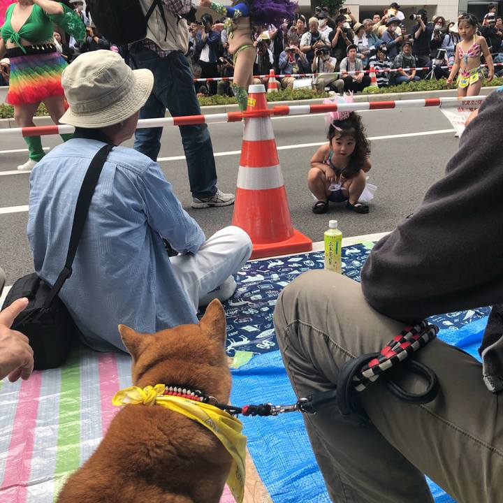 Cc9fff7a 8fb6 413c b33f 9e6ce5b27931 1558322675788