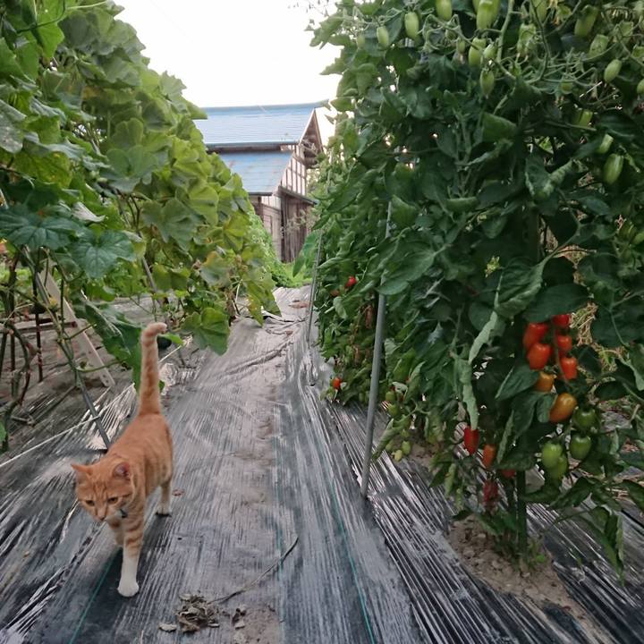 Cca0293f 0f14 4c1c 83b1 5efd23270d62 1564739920591