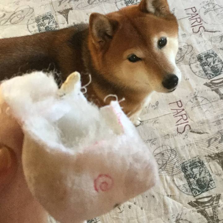 Cca07815 ffc3 40c0 a5ed 08e4864789ee 1580705675652