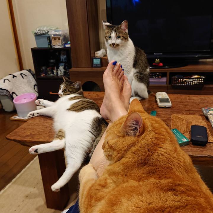 Cca08362 ca69 4596 963e a8592823d07b 1596711367543