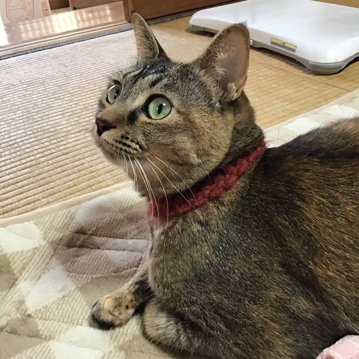 Cca091fa ce1d 4b9b b53b 72957c1782e6 1640824693794