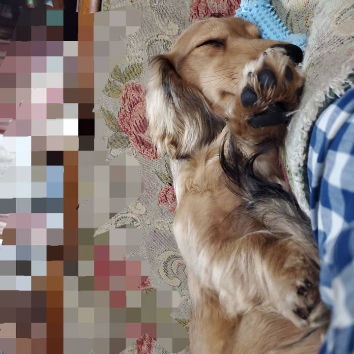 Cca0a90b 8863 40b1 aa47 d1df898357a9 1770765875077