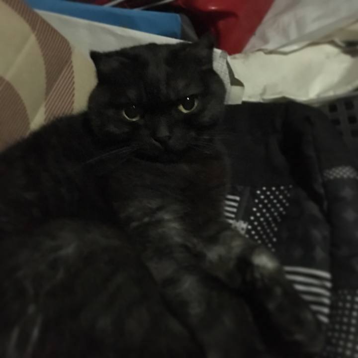 Cca0b4df cf9b 49e9 9967 9d37a34ad307 1528721015639