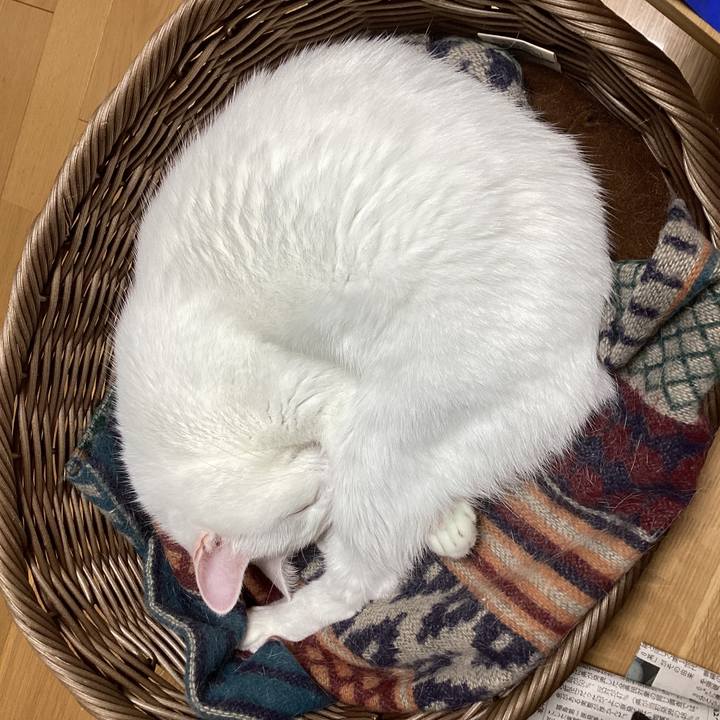 Cca0b6e8 d638 4e74 80ab 702928ac81ce 1762471620652