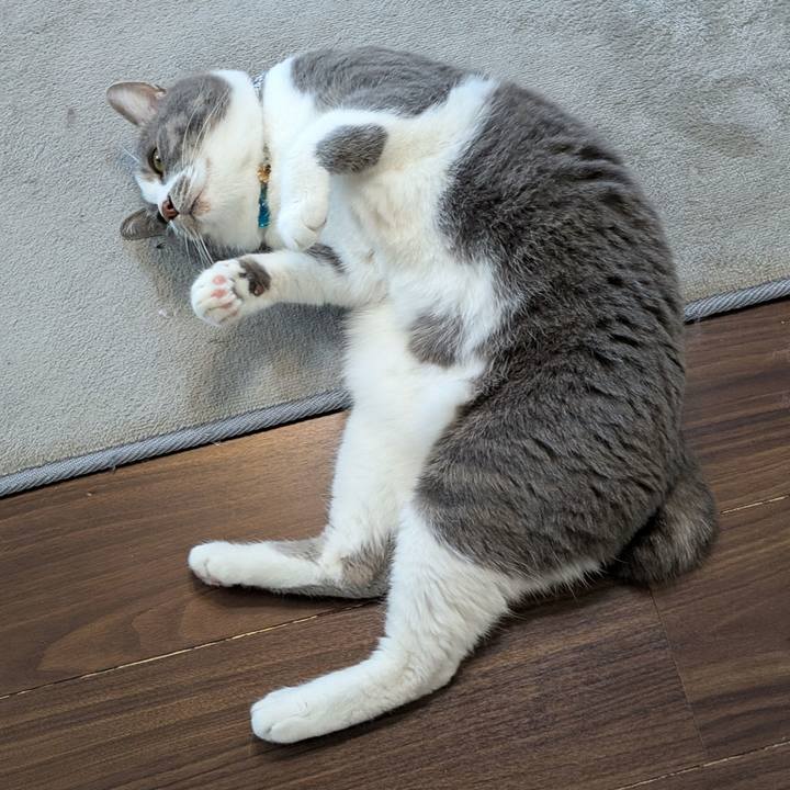 Cca0dd71 ea71 4051 a219 2b086d517f1b 1745971648505