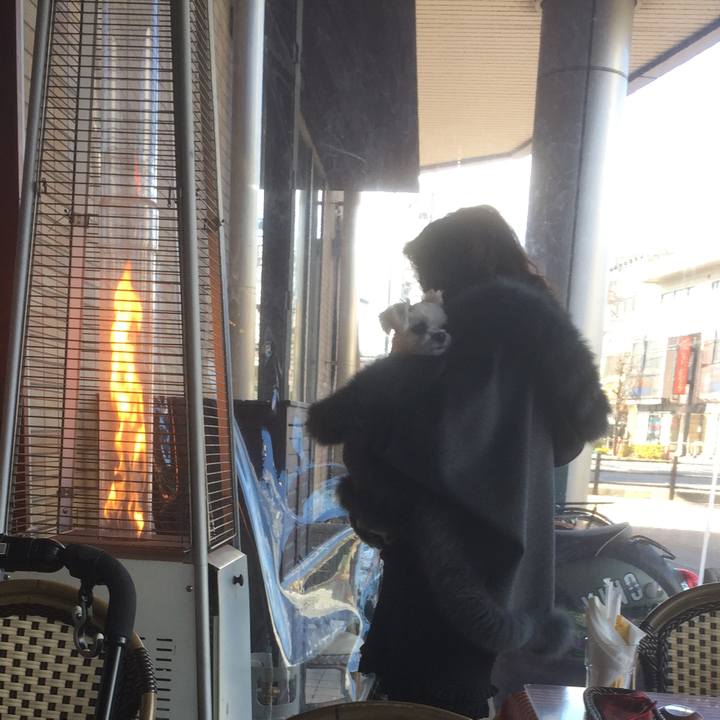 Cca0ed30 e2f8 4e07 a511 83f81162d781 1513502640244