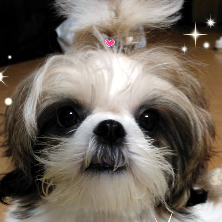 Cca10d5a 2e54 425b 8944 e1a8c0493171 1537768951630