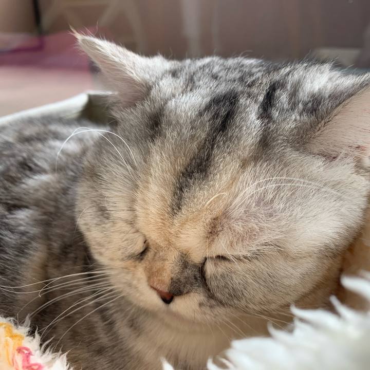 Cca11d63 6b51 40c9 8577 653ec9f51de3 1709347836547