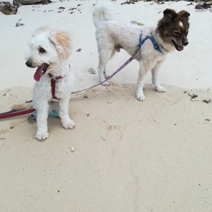 Cca11e0c 6993 4973 9f59 ed0a905742f7 1529675094286