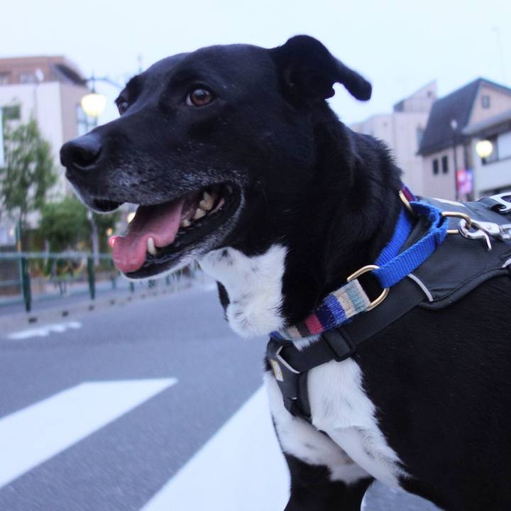 Cca12273 18e4 499e a3e3 096c074be026 1652958300891