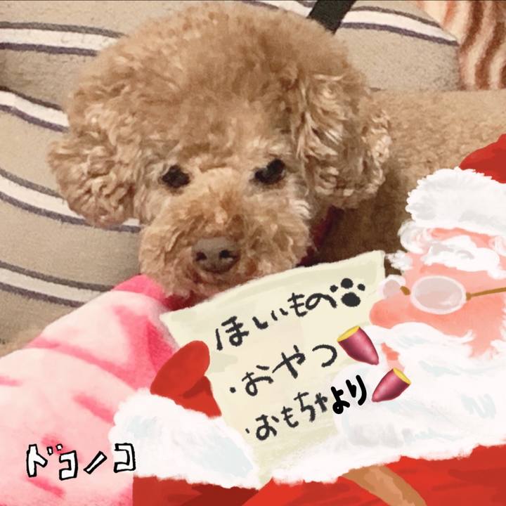 Cca15801 3fc9 47e9 b118 10a0955284cf 1729119389795