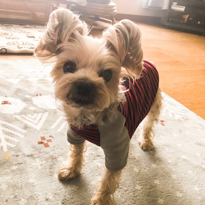 Cca167f6 f605 4a1c 80c5 19cf83edc716 1550914643377