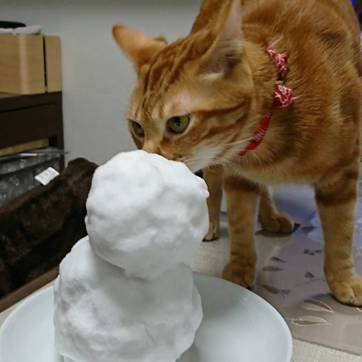 Cca17c0d 9b1d 481b a6d8 006d8ae890a2 1518394974353