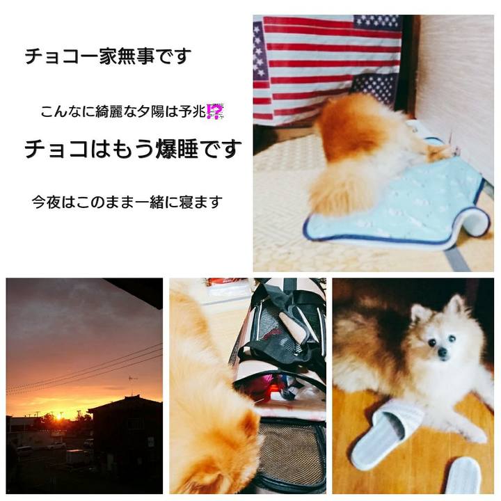 Cca1b947 87df 4bd6 bdf4 4f84b94b7940 1560871473190