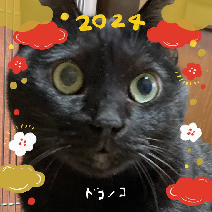 Cca1c34d 1107 4a73 8321 b093d4cf6174 1704075779522