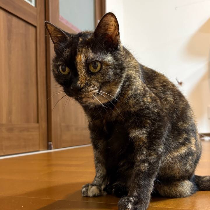 Cca1effd dc5a 45b1 88bd 397b59db989b 1760782111152