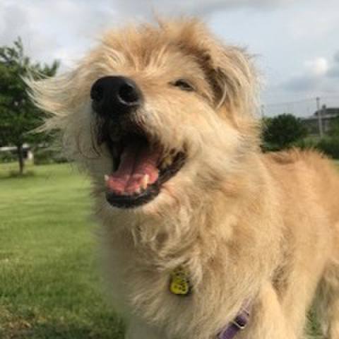 Cca1f403 9bb3 4db1 b201 8bc260a95cf6 1641723467109