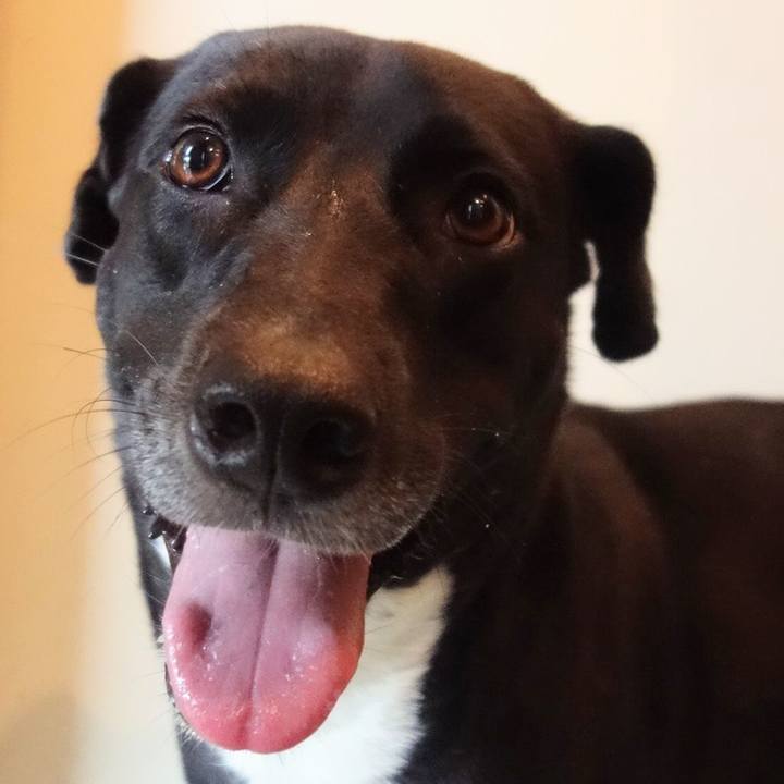 Cca206f2 5ea7 4ed6 8917 6e555d22436a 1598313006967