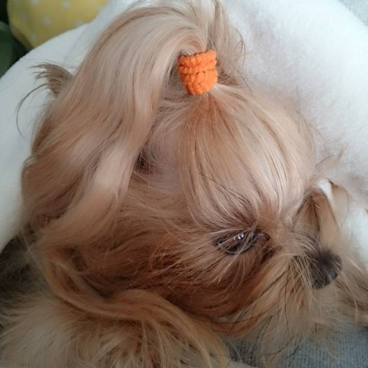 Cca2290f 3696 4607 bedb cfb2b27b04c6 1584175939709