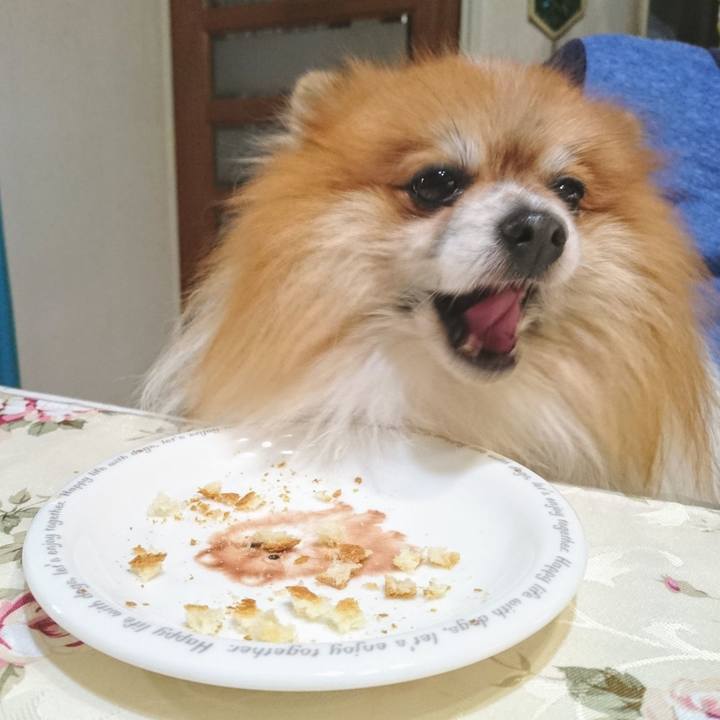 Cca239f2 d122 49c1 8243 2e24bed4b06b 1759179905110