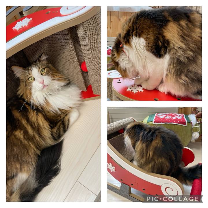 Cca254cf faac 4a51 83df 62ec7cddcf3e 1700710359131