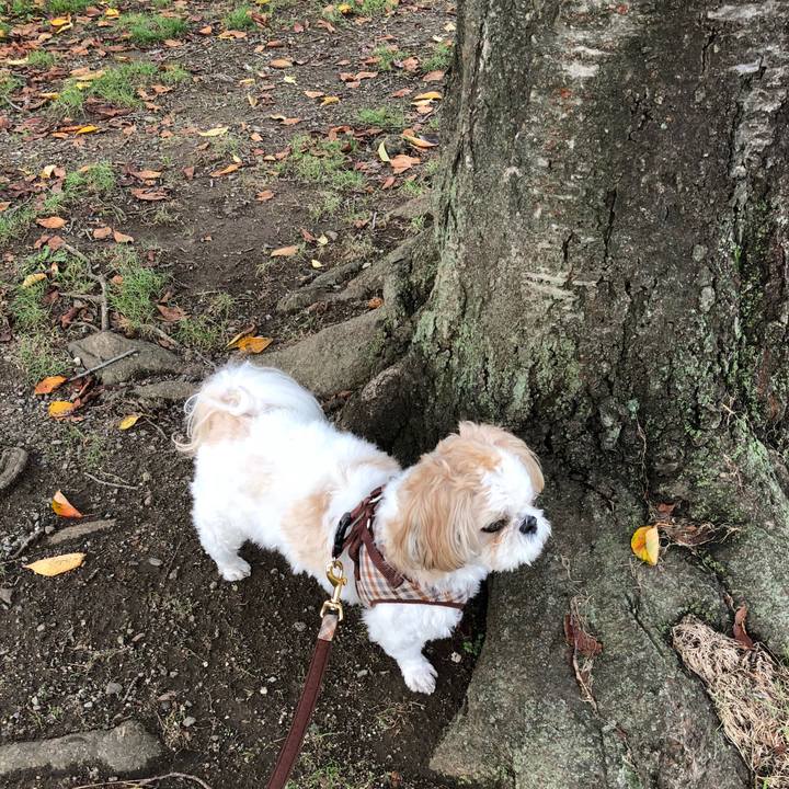 Cca2674c 436e 4c9f b8fd 6a0e26c97c2e 1539553549471