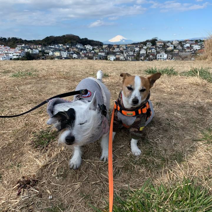 Cca27fe3 0bbb 41da a290 ae7746f09dbf 1645578386008