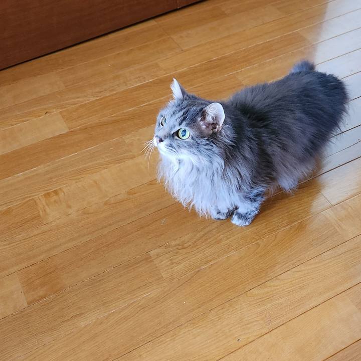 Cca2bf3e 1996 48ff a6bd 3517d9ca0944 1714299558925