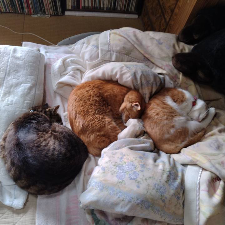 Cca2f096 e07e 417c 8dba 71a240f9fc88 1748227348283