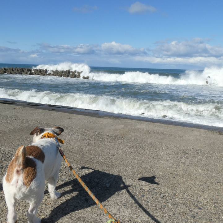 Cca2f6a0 f4bc 4a51 baec 505e95ec8a62 1605937990339