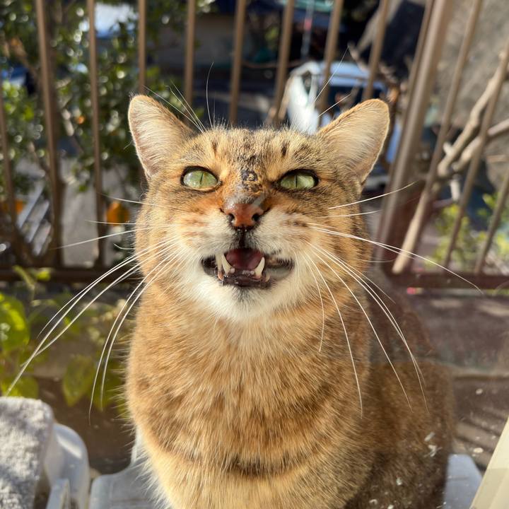 Cca2ff8d 5b06 4ae4 935b d6d39dc90346 1767313248245