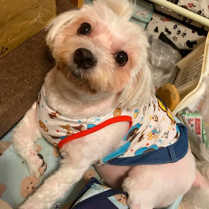 Cca32a2b d8d0 4885 b8f3 a2ca2359f306 1732079765989