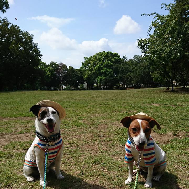 Cca359f4 3714 4d19 b429 5986fec2e6fc 1598864516972