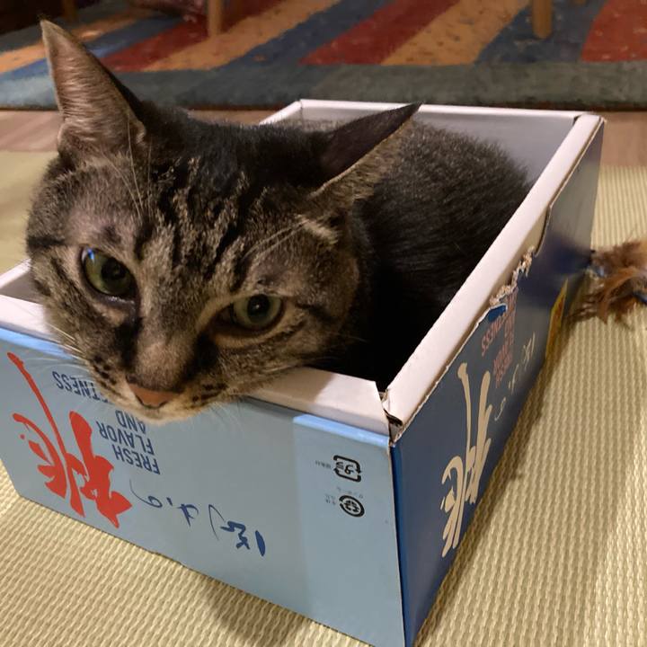 Cca38164 a4ee 4645 a8b7 ad17d7ceb3e2 1696389876720