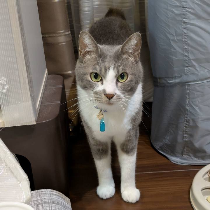 Cca391fd 2912 4ae3 ab11 769a4c405fa5 1731413885763