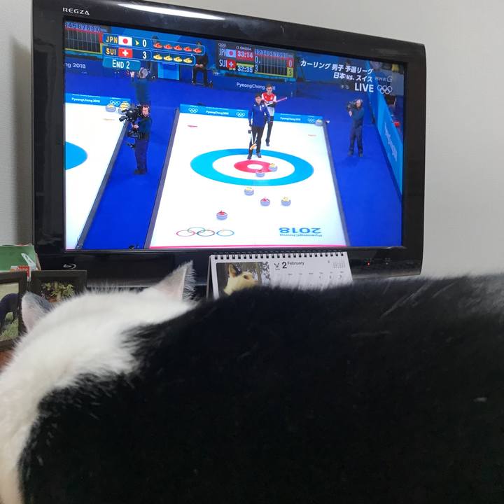 Cca39822 c77d 4a25 a96d e5e1406f4f1d 1518780590393