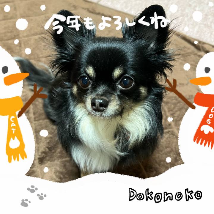 Cca3b9ac 6bd4 436c 867b 5b04e5436d3e 1704081672307