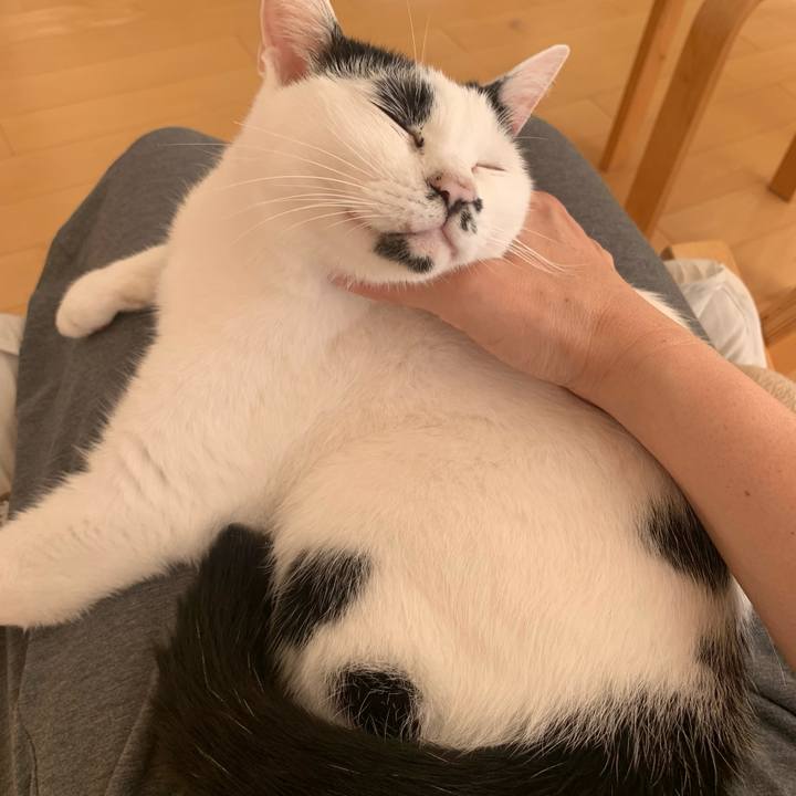 Cca3bfaa f018 47a5 b473 abc533202684 1758593537608