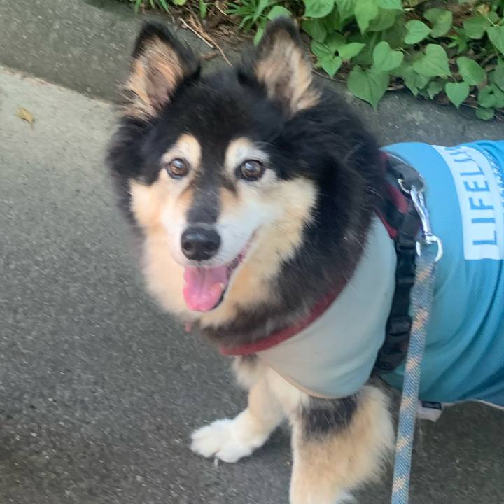 Cca3dbca 8a8e 47b8 8626 c002e0f97667 1690025898590