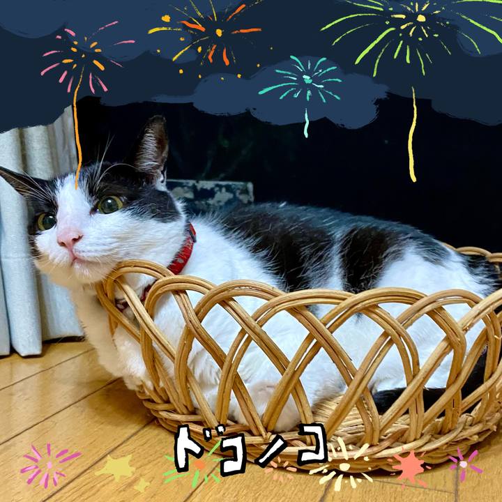 Cca437e7 07bc 4c52 8352 4b506f857133 1723182411973