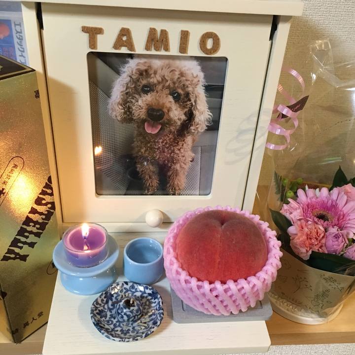 Cca492f6 e336 4b56 90e2 721aac0885ff 1596375237169