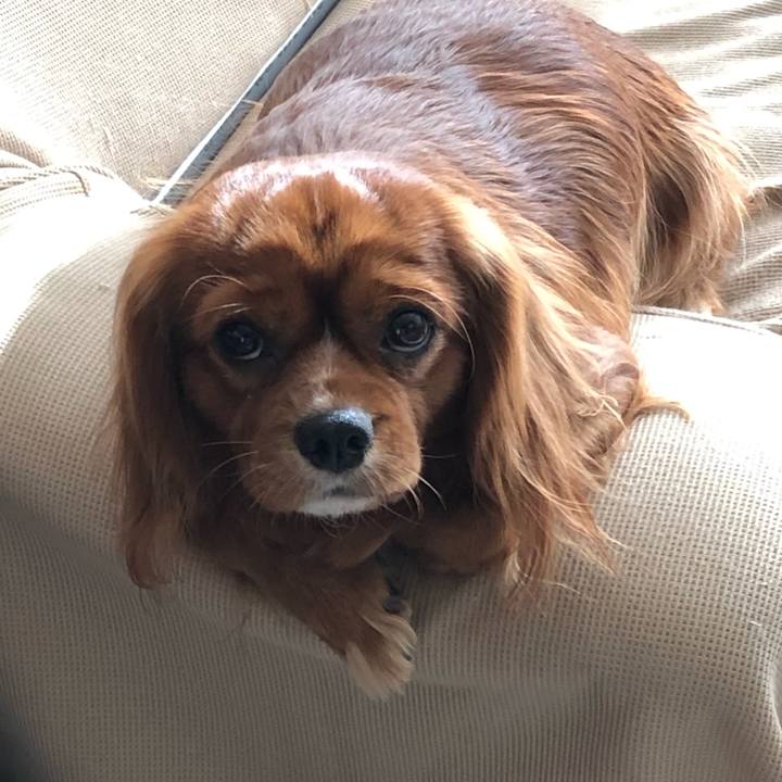 Cca4b883 d721 416f 97a3 a17b7863a662 1543530145539