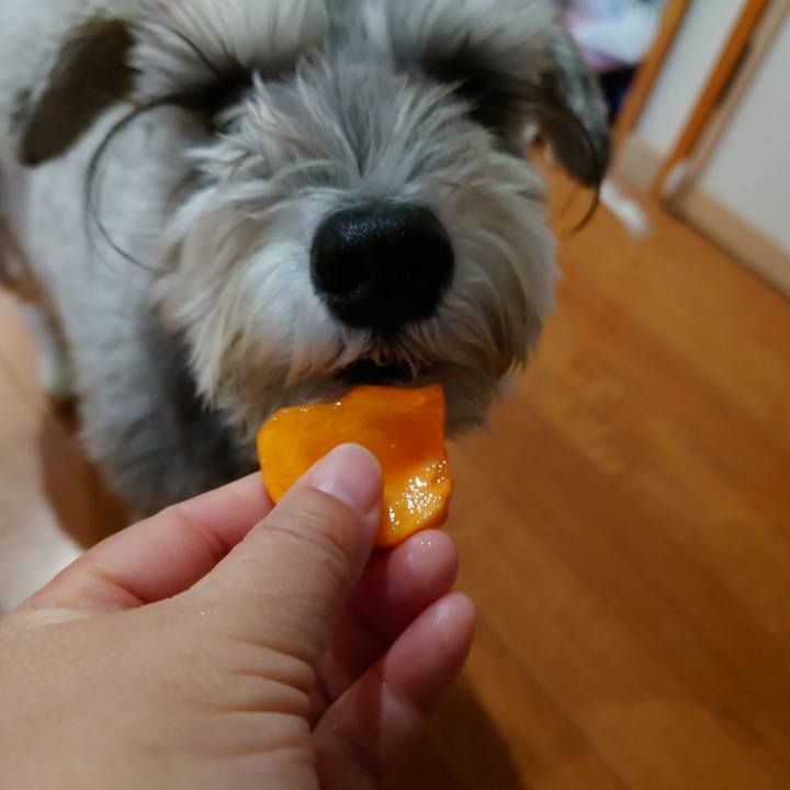 Cca4c798 5951 4d42 9591 2d99921cc622 1764719394485